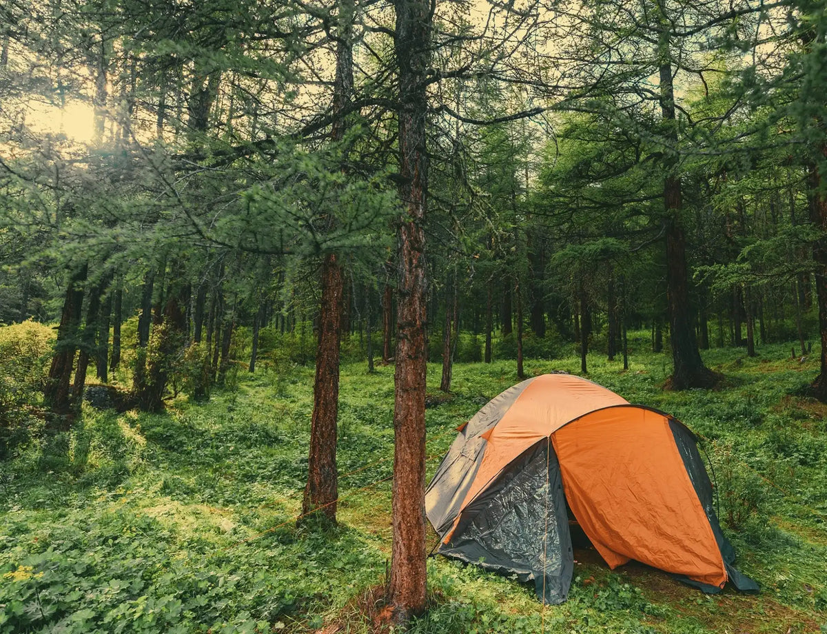 Endure outdoor wipes for camping